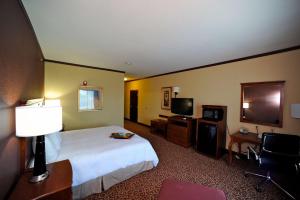 塞金塞甘希尔顿恒庭酒店的酒店客房,配有床和电视