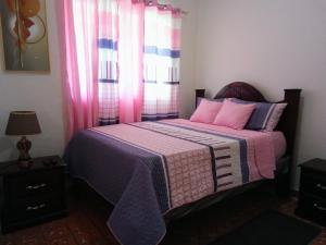 圣多明各Hostal María Fernanda的一间卧室配有一张带粉色毯子的床和窗户。