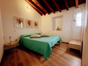 托莱多Felices Los Cuatro的一间位于客房内的带绿床的卧室