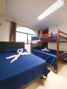 巴克里索莫雷诺港Blue Horizon, Galápagos的一间卧室配有两张双层床,带带带