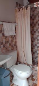 万查科Travelershouse Casa Hospedaje的一间带卫生间和淋浴帘的浴室