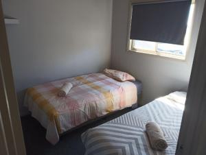 米尔迪拉Sunraysia Holiday Park的一间小卧室,配有两张床和窗户
