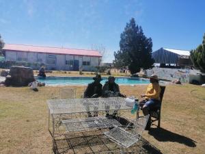 Okahatjipara Lodge的一群人坐在桌旁,靠近一个游泳池