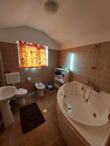 布雷亚扎Casa Vlazilor的带浴缸、卫生间和盥洗盆的浴室