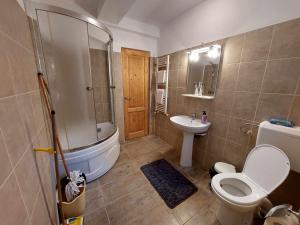 布雷亚扎Casa Vlazilor的带淋浴、卫生间和盥洗盆的浴室