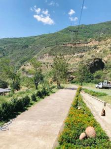 塔特夫Gorge of Tatev的山边有鲜花的土路