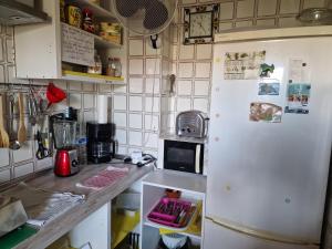 福恩吉罗拉Fuengirola Rooms Boliches Beach的厨房配有白色冰箱和微波炉