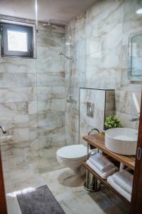 维尔蒂尼克Vila K2的一间带水槽、卫生间和淋浴的浴室