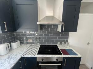 伦敦The E17 Suite的厨房配有蓝色橱柜和炉灶烤箱。