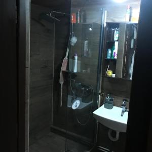 BezdeadCabana Trei Brazi Dambovita的带淋浴和盥洗盆的浴室