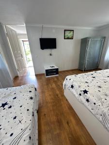 提斯基斯迪里BANI tsikhisdziri的一间卧室设有两张床,墙上配有电视。