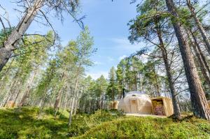 阿尔塔GLØD Aurora Canvas Dome的树林中的豪华帐篷