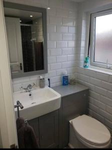 伦敦Charming 5 Bed - Leytonstone E11的一间带水槽、卫生间和镜子的浴室