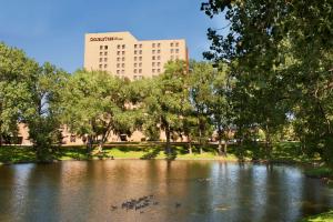 圣路易斯帕克明尼阿波利斯公园双树酒店的一座有鸭子的建筑前的池塘