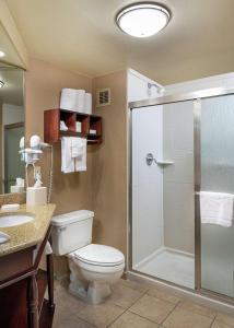 塔斯卡卢萨塔斯卡卢萨大学汉普顿酒店的一间带卫生间和淋浴的浴室