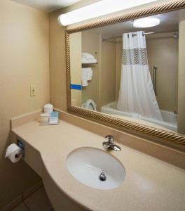 瓦尔多斯塔瓦尔多斯塔/会议中心汉普顿旅馆及套房酒店的一间带水槽和镜子的浴室