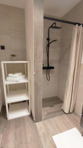 因泽尔Ferienwohnung Werner的带淋浴的浴室以及带毛巾的架子。
