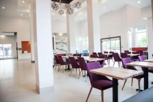 鲁兹Hilton Garden Inn Tampa Suncoast Parkway的一间带桌子和紫色椅子的用餐室
