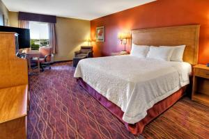 双子瀑布双瀑城汉普顿旅馆的配有一张床和一张书桌的酒店客房