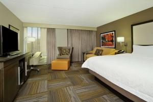 弗雷泽费城大峡谷希尔顿恒庭酒店的配有一张床和一台平面电视的酒店客房