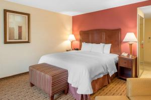 阿克塔阿卡塔希尔顿恒庭旅馆&套房酒店的酒店客房带一张大床和一把椅子
