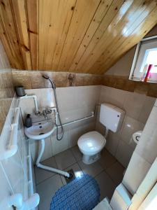 扎布利亚克Homestay Djerkovic的一间带卫生间和水槽的小浴室