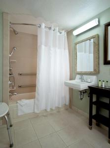 圣达菲圣达菲希尔顿逸林酒店的浴室配有淋浴帘和盥洗盆。
