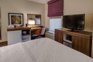阿卡德尔菲亚阿卡德尔菲亚希尔顿恒庭酒店的一间卧室配有一张床和一张书桌及电视