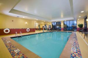 怀俄米兴雷丁/怀奥米辛希尔顿恒庭酒店的在酒店房间的一个大型游泳池