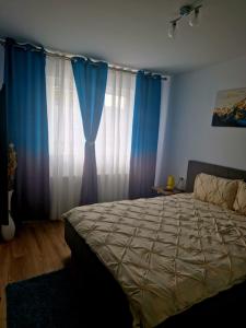 布拉索夫Casa Mov的一间卧室配有大床和蓝色窗帘