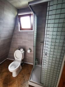 CărbunariLivada Becica的一间带卫生间和淋浴的小浴室