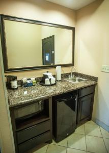 帕勒斯坦巴勒斯坦汉普顿酒店及套房的一间带水槽和镜子的浴室