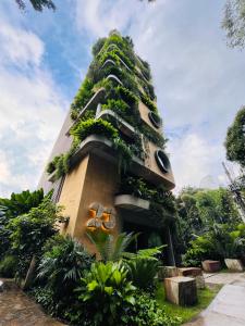 麦德林23 Hotel Medellin的一座植物在建筑的一侧