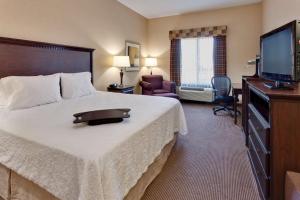 萨克拉门托萨克拉门托机场纳托马斯恒庭套房酒店的配有一张床和一台平面电视的酒店客房