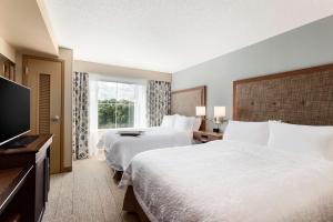 洪美尔斯镇赫尔希公园汉普顿酒店的酒店客房设有两张床和一台平面电视。