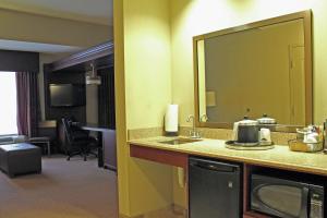 圣路易斯南圣路易斯55号洲际公路希尔顿恒庭旅馆&套房酒店的酒店客房设有水槽和镜子