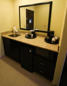 圣路易斯南圣路易斯55号洲际公路希尔顿恒庭旅馆&套房酒店的一间带水槽和大镜子的浴室