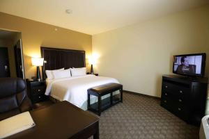 麦卡莱斯特麦卡莱斯特希尔顿恒庭旅馆&套房酒店的配有一张床和一台平面电视的酒店客房
