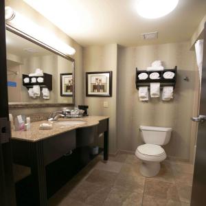 麦卡莱斯特麦卡莱斯特希尔顿恒庭旅馆&套房酒店的一间带卫生间、水槽和镜子的浴室