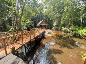 伊基托斯Stay at the river house的森林中一条河上的木桥
