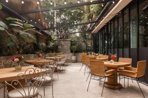麦德林23 Hotel Medellin的餐厅设有木桌和椅子,种有植物