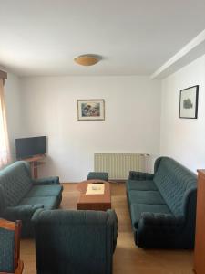PožegaApartment Bella的客厅配有两张沙发和一张咖啡桌
