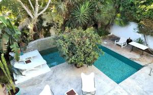 拉马萨Narcisses House的享有带白色椅子和树木的游泳池的顶部景致