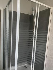 茨维考Am Bahnhof的浴室设有玻璃门淋浴