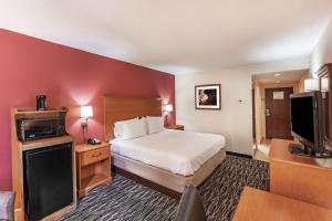 艾肯艾肯汉普顿酒店的配有一张床和一台平面电视的酒店客房