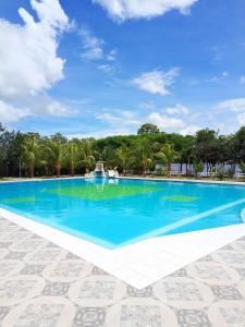 特立尼达L J的一个种有棕榈树的大型蓝色游泳池