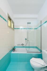 锡蒂亚K&D Central Suite的带淋浴、卫生间和浴缸的浴室