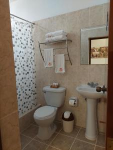 利马Lima Wasi Hotel Miraflores的一间带卫生间和水槽的浴室