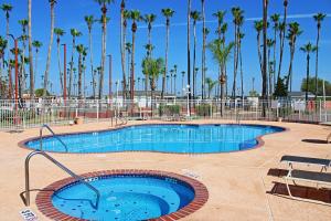 DonnaVictoria Palms Inn and Suites的一座棕榈树环绕的大型游泳池