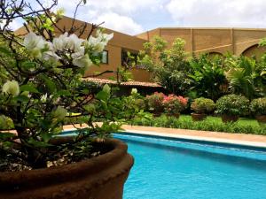 Orchidelirium Casa Hotel & Salud Estética内部或周边的泳池